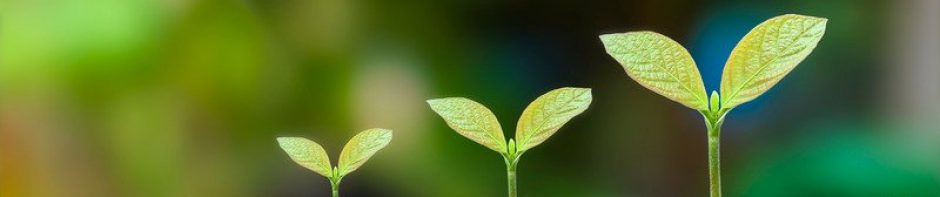 Zusammenspiel-neue Wege